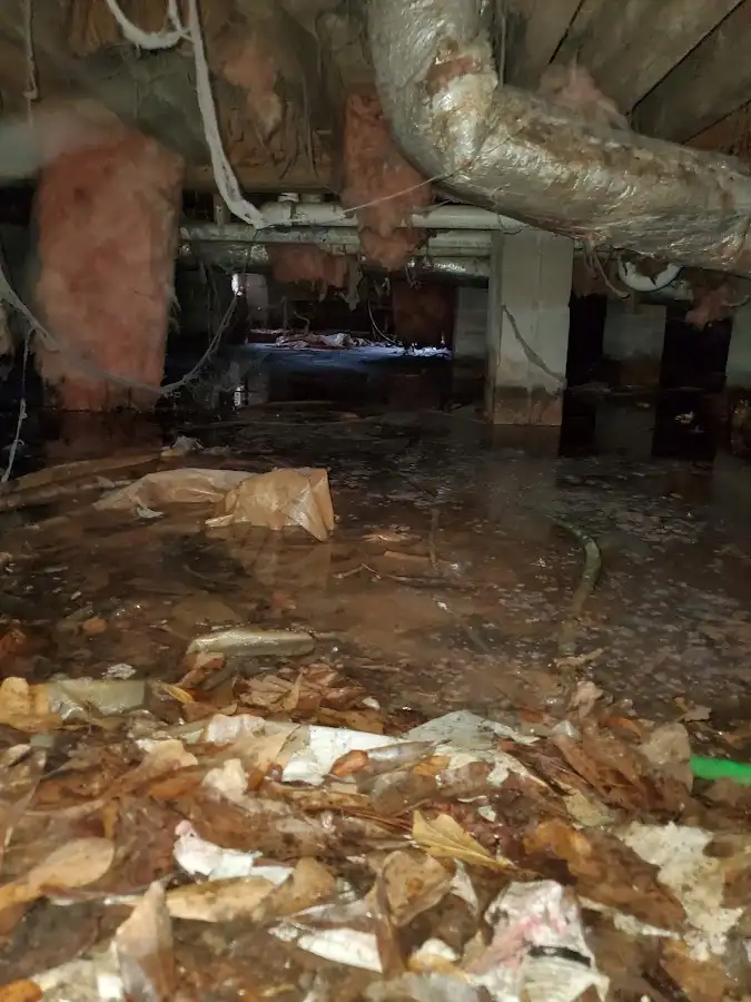 Crawl space flood assessment for Leak Detection & Repair in Davis