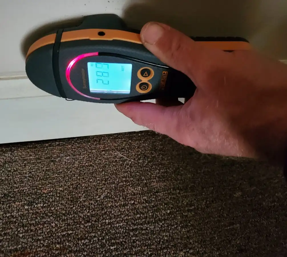 Moisture detection at baseboard during Sewage Cleanup & Sanitation in Davis